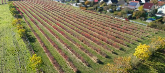 Terreno em Halle, Germany N.º 160882 7