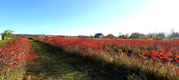 Terreno em Halle, Germany N.º 160882 22