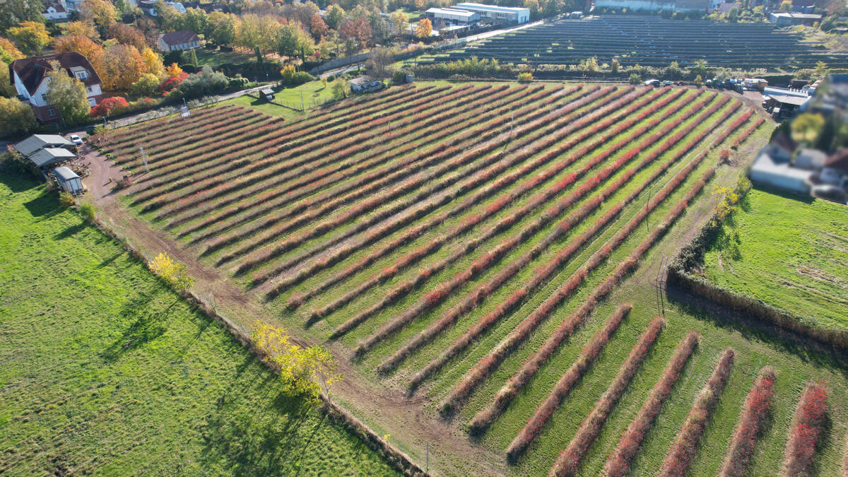 Terreno em Halle, Germany N.º 160882