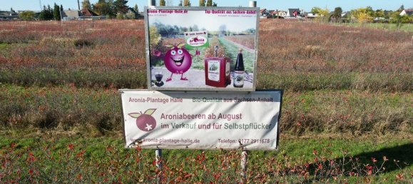 Terreno em Halle, Germany N.º 160882 2