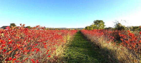 Terreno em Halle, Germany N.º 160882 21