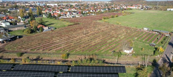 Terreno em Halle, Germany N.º 160882 4