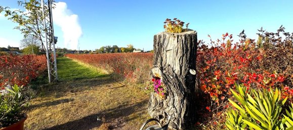 Terreno em Halle, Germany N.º 160882 10