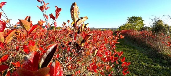 Terreno em Halle, Germany N.º 160882 11