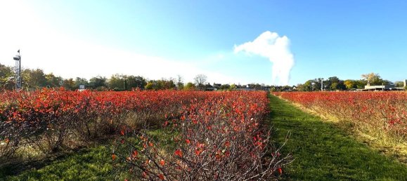 Terreno em Halle, Germany N.º 160882 12