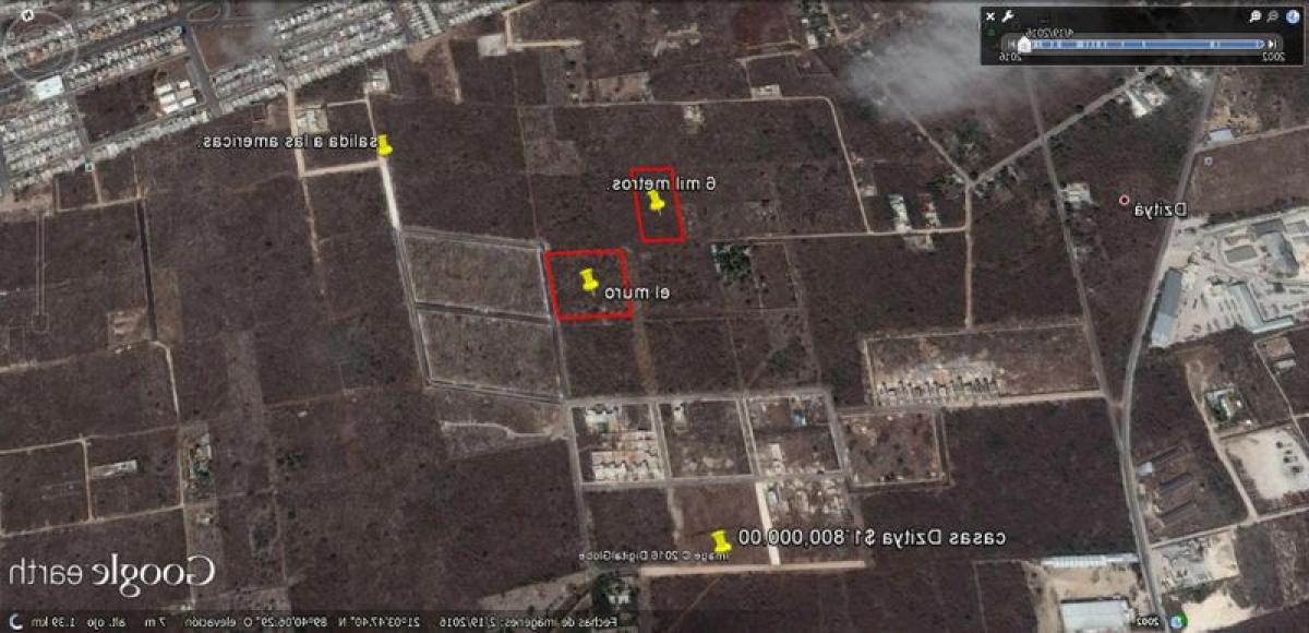  Land in Merida, Mexico No. 113818