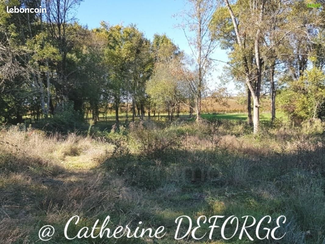 1248m² Land in Saint-Savin, France No. 190167