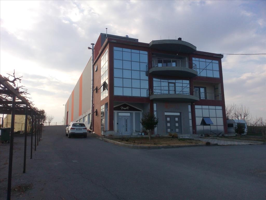 1650m² Property in Pieria, Greece No. 6417