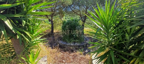 Земельный участок 8476м² в Синтра, Португалия № 131779 10