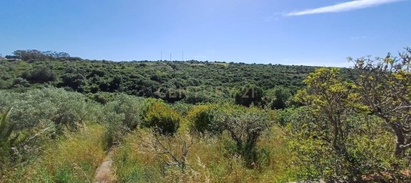 Земельный участок 8476м² в Синтра, Португалия № 131779 15