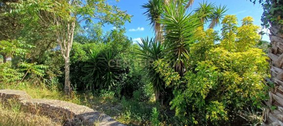 Земельный участок 8476м² в Синтра, Португалия № 131779 34