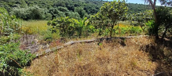 Земельный участок 8476м² в Синтра, Португалия № 131779 42