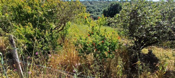 Земельный участок 8476м² в Синтра, Португалия № 131779 28