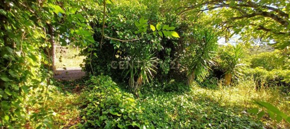 Земельный участок 8476м² в Синтра, Португалия № 131779 24