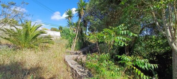 Земельный участок 8476м² в Синтра, Португалия № 131779 35