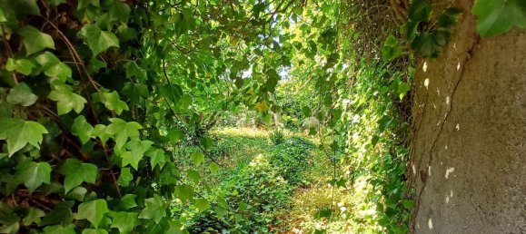 Земельный участок 8476м² в Синтра, Португалия № 131779 22