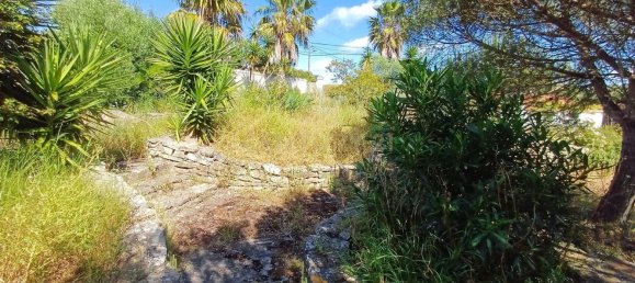 Земельный участок 8476м² в Синтра, Португалия № 131779 31