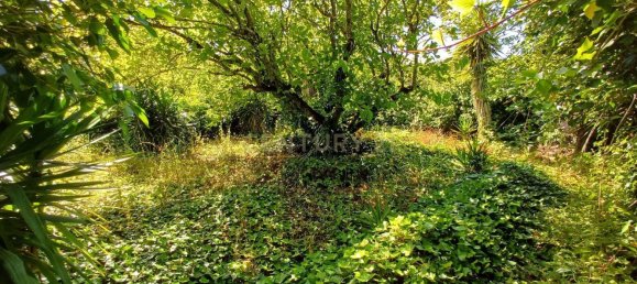 Земельный участок 8476м² в Синтра, Португалия № 131779 23