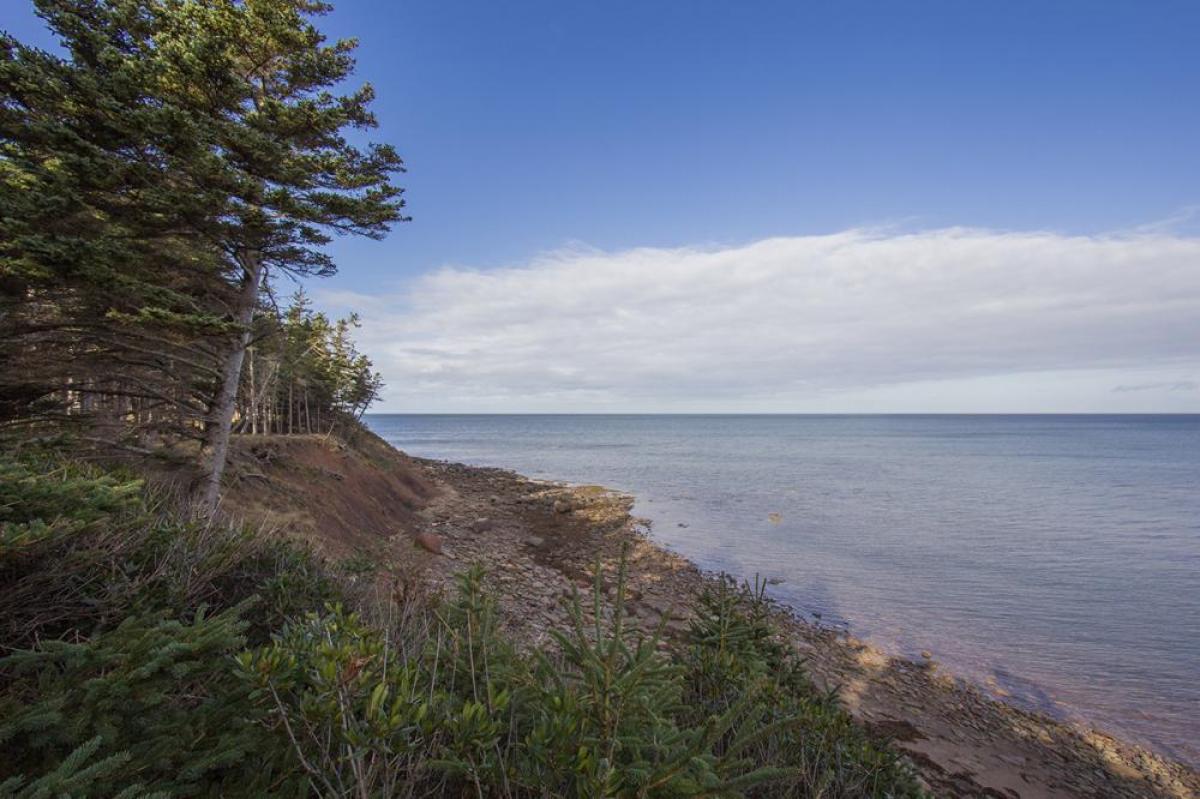 2 bedrooms House in Halifax, Canada No. 2