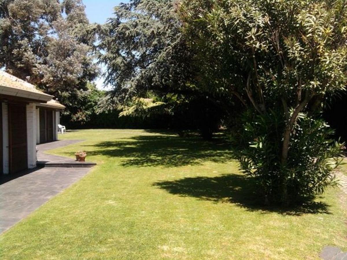 3 bedrooms House in Mar del Plata, Argentina No. 95631