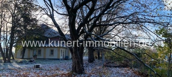 18 غرف نوم بناية في Saalekreis, Germany رقم 24988 3