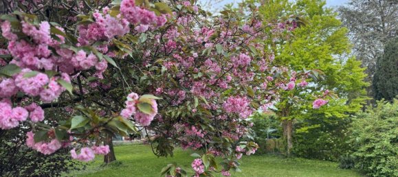 4 chambres Maison de ville à Rhein-Erft, Germany No. 151870 20