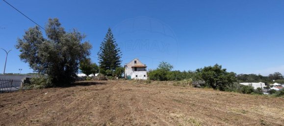 Дом с 10 спальнями в Мафра, Португалия № 66685 7