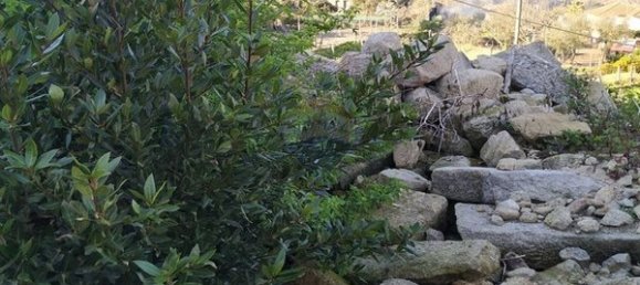 1 chambre Maison à Vouzela, Portugal No. 176919 5