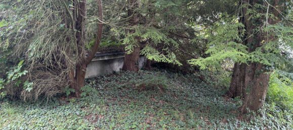 Grundstück in St. Andrä-Wördern, Austria, Nr. 212782 8