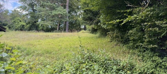 Grundstück in St. Andrä-Wördern, Austria, Nr. 212782 7