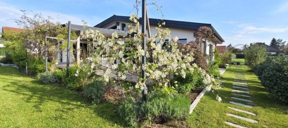 3-Zimmer Bungalow in Stockerau, Austria, Nr. 210977 32