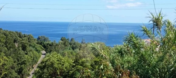 استوديو في Lagoa, Portugal رقم 44196 10