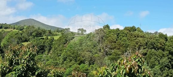 استوديو في Lagoa, Portugal رقم 44196 7