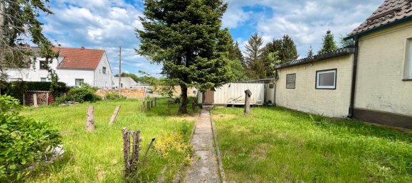 3 bedrooms House in Wittenberg, Germany No. 273416 16