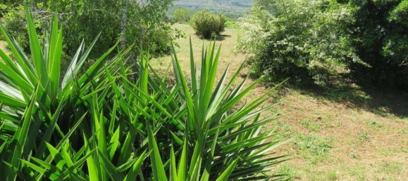 4 غرف نوم بنغالو في Penela, Portugal رقم 78735 33
