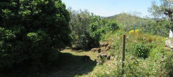 4 غرف نوم بنغالو في Penela, Portugal رقم 78735 32