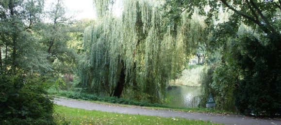 Studio à Wilmersdorf, Germany No. 363453 14