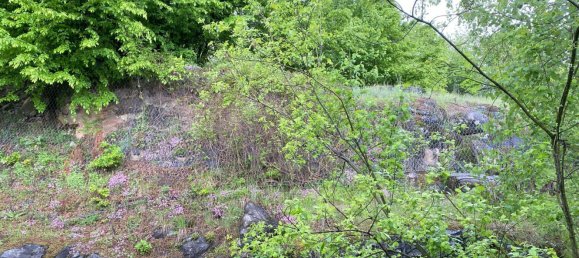 3 chambres Appartement à Montaldo di Mondovì, Italy No. 372152 49