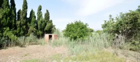 4 chambres Maison à Nules, Spain No. 129423 26