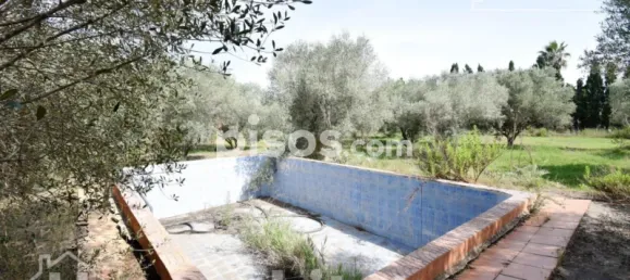 4 chambres Maison à Nules, Spain No. 129423 43