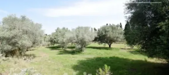 4 chambres Maison à Nules, Spain No. 129423 32