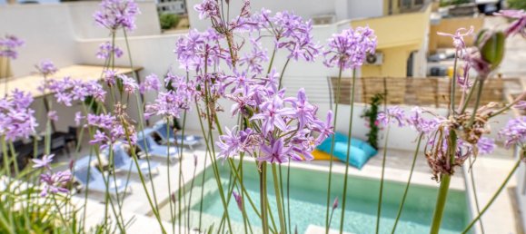 Villa T7 em Salve, Italy N.º 260364 21