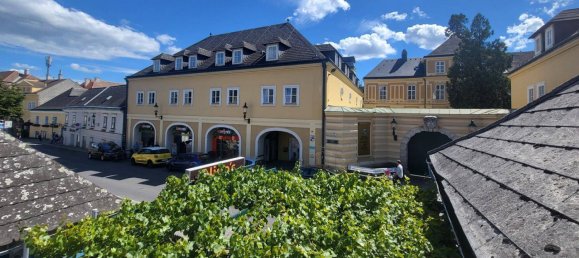 1 Schlafzimmer Gewerbliche Immobilie in Döbling, Austria, Nr. 81667 16