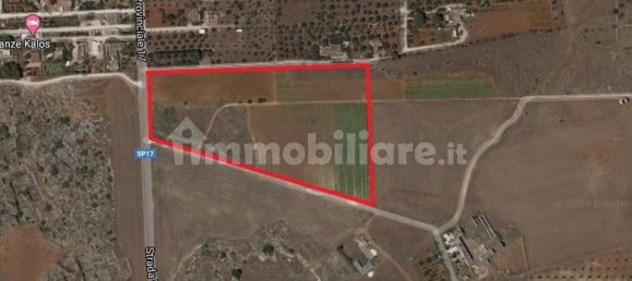 Земельный участок 23000м² в Sannicola, Италия № 230404 2