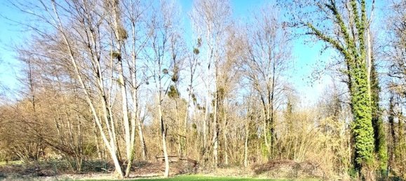 4 bedrooms House in Muret-et-Crouttes, France No. 60996 12