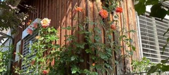 7 rooms House in Breisgau-Hochschwarzwald, Germany No. 316157 19