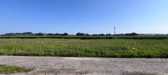  Land in Taufkirchen an der Pram, Austria No. 142427 5