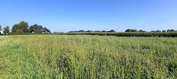  Land in Taufkirchen an der Pram, Austria No. 142427 2