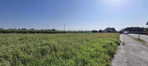  Land in Taufkirchen an der Pram, Austria No. 142427 4