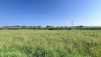  Land in Taufkirchen an der Pram, Austria No. 142427